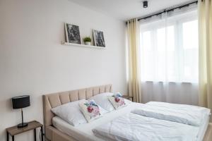 Apartament 2 Komfort