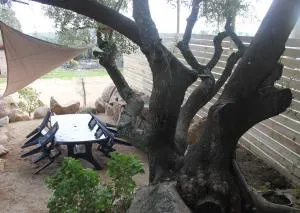 Les hauts de Frisella - Giannuccio