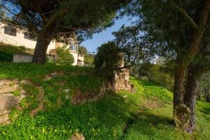 Maisons de vacances Villa au calme absolu, grand jardin et vue mer : photos des chambres