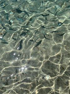 Casa Babila 2 minutes from the beautiful beach img53