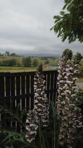Maisons de vacances Le Petit Couvent : photos des chambres