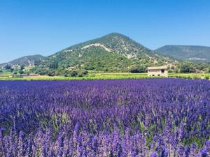 B&B / Chambres d'hotes La benvingude : photos des chambres