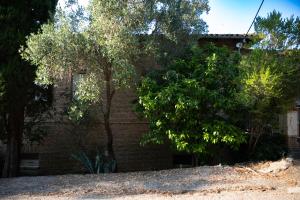 Guesthouse Elena , Vatos, Corfu