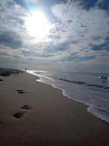 Domki Maki - Domki 6 Osobowe - Akceptujemy Psiaki