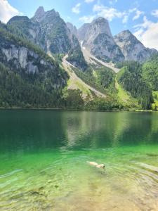 Ferienwohnung Margareta