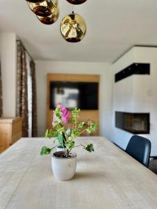 Bio Apartment - Der Steinadler