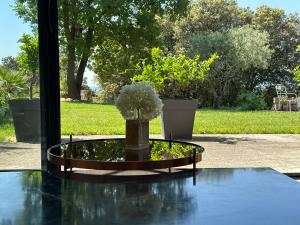 Villas Domaine en Provence : photos des chambres