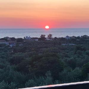 Beautiful Farm House