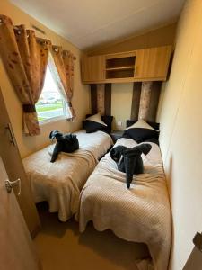 Golden Palm Resort - Appleby - Coastal Caravan Breaks