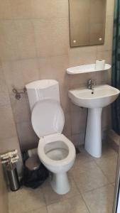 Complex DUNAREA Saturn