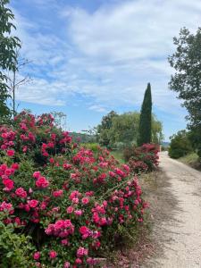 Villas Gnouquette : photos des chambres