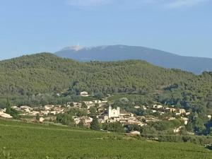 Maisons de vacances Maison au coeur d'un petit village provencal proche Vaison la Romaine : photos des chambres