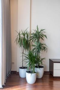 Manto Atspindžiai apartment in the center free parking & self check in