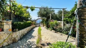 Jico Travel - Villa Samuel