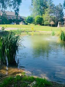 Le domaine du hibou Festigny