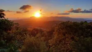 Abri Papaye - Guinée-Fleury