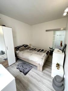 Appartements Un appartement Cosy et Lumineux : photos des chambres