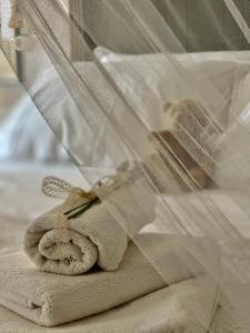 Robinson house Leticia