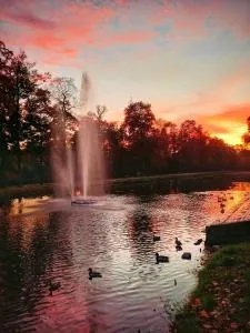 Apartament w Parku nad Kanałem - Występ