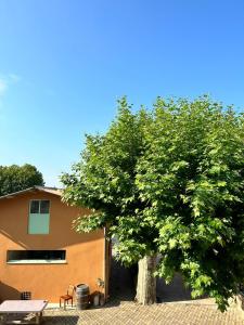 Maisons de vacances Gite l'atelier de Phil et Delfe : photos des chambres