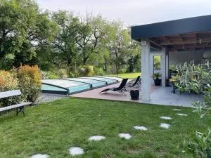 Cèdrus Libani - Le Fousseret