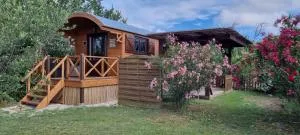 La Roulotte du Mas - Cave de la Pinède