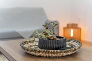 Syros DouBleTS Apartments