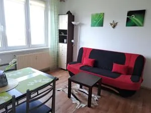 Apartmán v podhůří Krušných hor - Silbersgrün