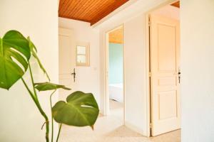Appartements Logement independant Casa de Lyu : photos des chambres