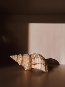 Villa Susca - villa sul mare