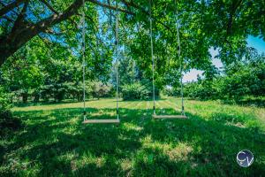 Maisons de vacances Mazet au calme -Piscine privee-Grand jardin arbore : photos des chambres