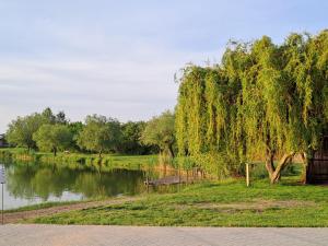 Mirabelka Rakvice