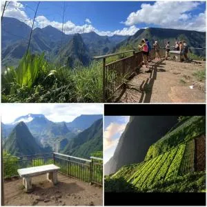 Au coeur des plantations - Dos dʼÂne