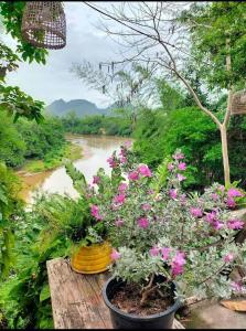 Baanmai Phaipa House