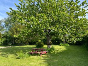 Maisons de vacances La longere du vallon : photos des chambres