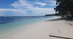 Alona Beach Poolside Hotel Panglao