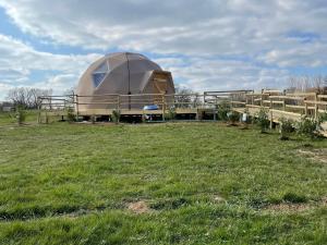 Maisons d'hotes O refuge di’vin : photos des chambres