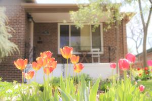 Family-Friendly Mid-century Modern Retreat