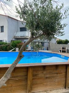 Maisons de vacances Villa avec piscine privee 10mn de la mer 4couchages : photos des chambres