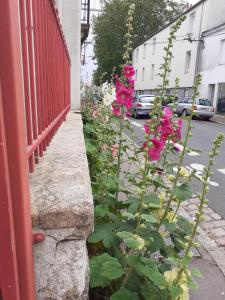 Sejours chez l'habitant Chambres Zola : photos des chambres