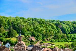Maisons de vacances Gite Bien-etre, Sauna, Bain nordique a Soucht (57) : photos des chambres