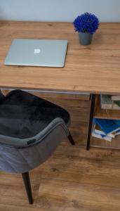 Kazbegi MaNa Apartment N 111