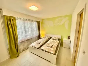 Green Sun - a cozy apartment close to the airport - Dübendorf