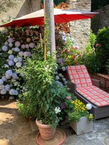 Ferienhaus, Rustico Auf Burg