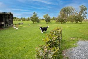La Cense de Baudecet - Double Gite