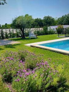 Villa Destiny Nedescina, Istrien, Kroatien