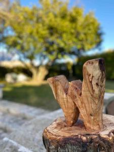 Apartamentos Wambalore