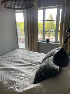 Fjällglim 22 Sälfjällstorget