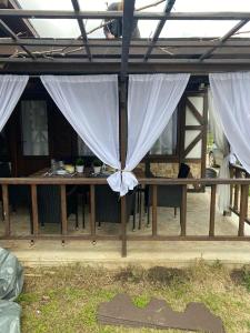 The Green Line house