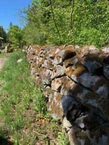 Großzuegiges Haus im Wald